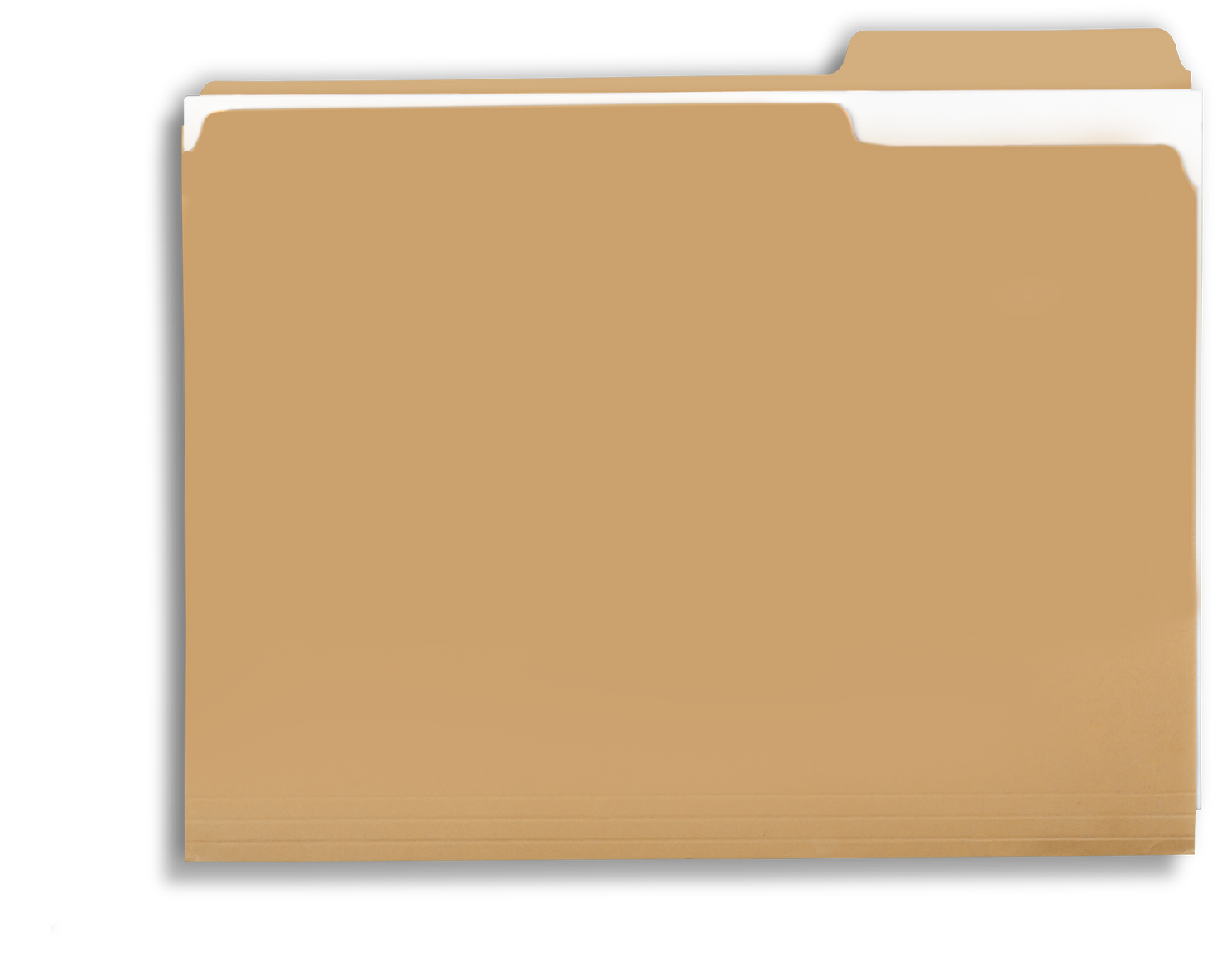 File Folder with Documents